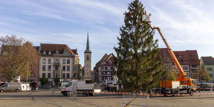 Weihnachtsbaum auf Domplatz aufgestellt