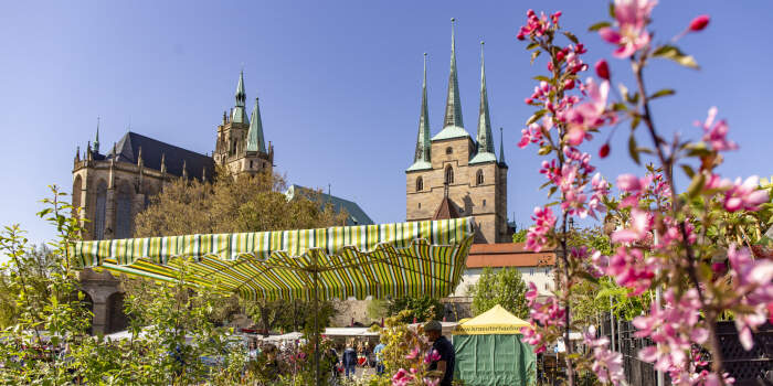 Der Blumen- und Gartenmarkt 2022 in Bildern