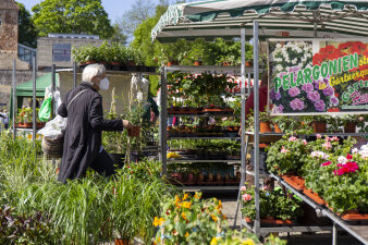 ein Marktstand mit verschiedenen Blumen und Pflanzen