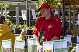 ein Mann im Gespräch an einem Marktstand mit Pflanzen