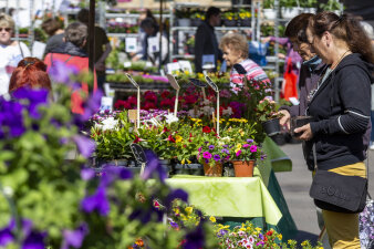 ein Marktstand mit verschiedenen Blumen und Pflanzen