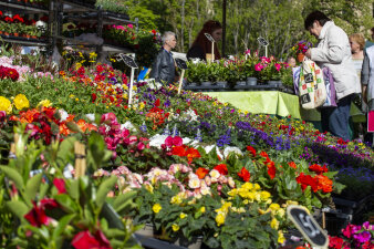 ein Marktstand mit zahlreichen Blumen und Pflanzen
