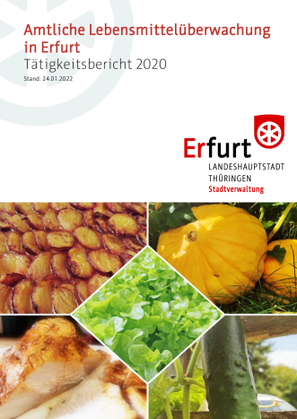 Das Deckblatt eines Berichtes mit dem Titel "Amtliche Lebensmittelüberwachung Tätigkeitsbericht 2020" 