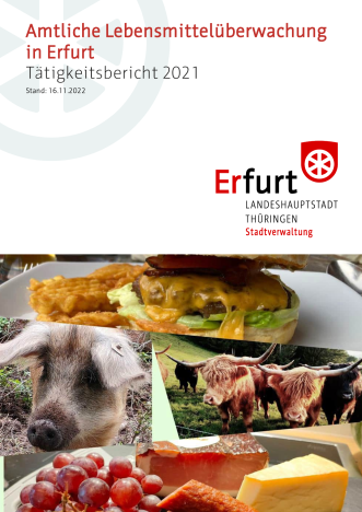 Das Deckblatt eines Berichtes mit dem Titel "Amtliche Lebensmittelüberwachung Tätigkeitsbericht 2021"