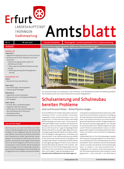 Amtsblatt Nr. 11 vom 18.06.2021