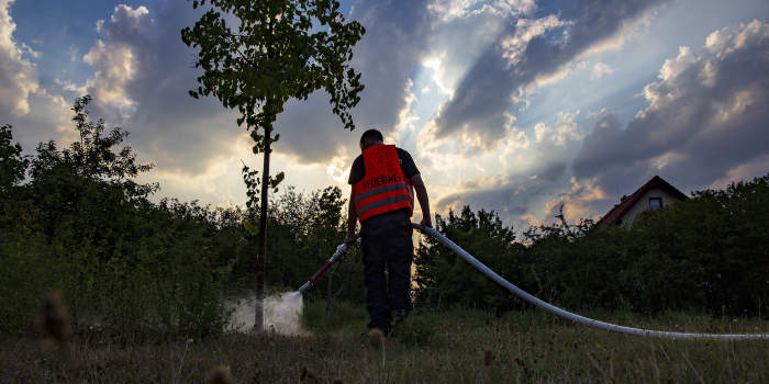 Feuerwehr gießt über 3.500 städtische Bäume