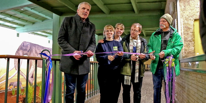 Foto: Wiedereröffnung des alten Elefantenhauses © Stadtverwaltung Erfurt Fünf Personen schneiden ein Band durch.