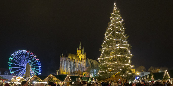 Foto des Weihnachtsmarktes mit Blick auf den Dom, den Weihnachtsbaum und ein bunt beleuchtetes Riesenrad.