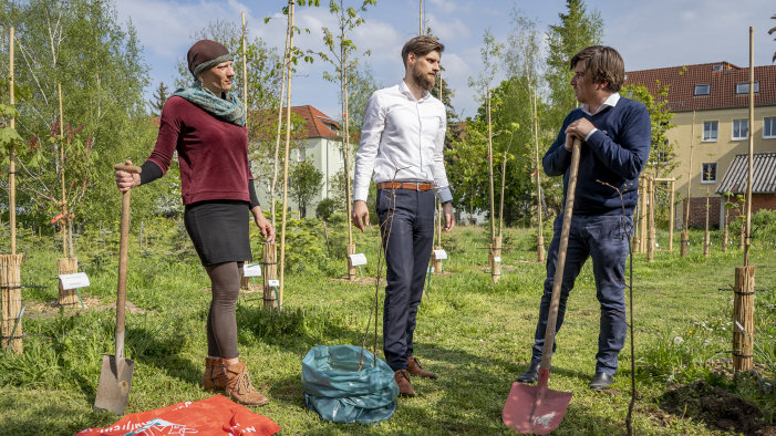 Baumschenkung Im Garten Und Friedhofsamt Erfurt De