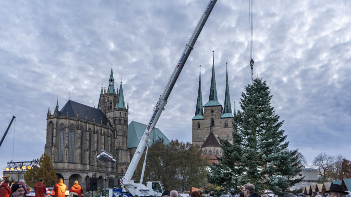Der Tannenbaum Fur Den 169 Weihnachtsmarkt Wurde Aufgebaut Erfurt De