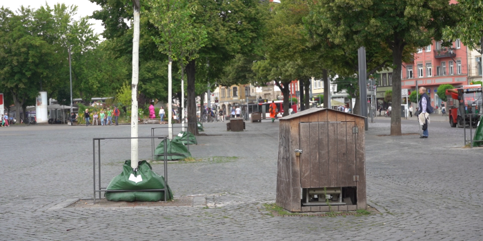 Eine Baumreihe mit jungen Bäumen und Bewässerungssäcken an deren Stämmen steht auf einem großen Platz.