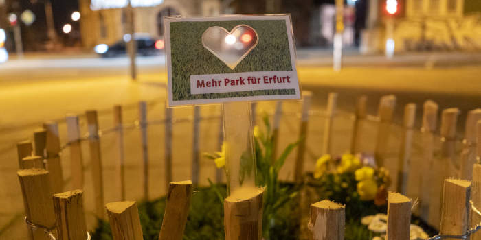 Kleine grüne Glücksboten auf Beton und Asphalt