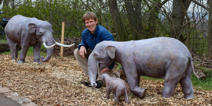 Zwergelefanten im Zoopark enthüllt Erfurt.de