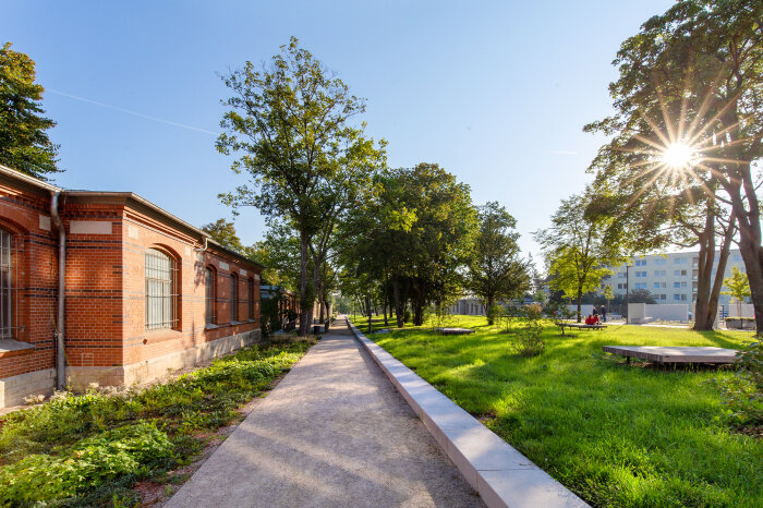 ein Weg durch einen Park mit einigen Bäumen, links ein eingeschossiges Backsteingebäude