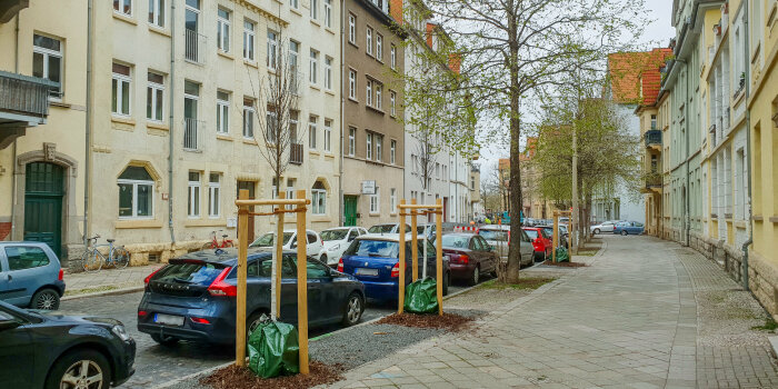 eine Straße in Erfurt mit Mehrfamilienhäusern, parkenden Autos und Bäumen
