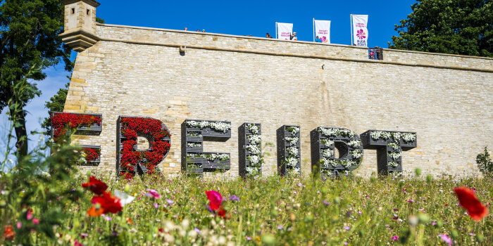 Wildblumen vor großem ERFURT Schriftzug an einer Burgmauer