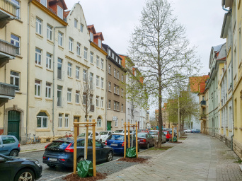 Bäume in der Oststadt eine Straße in Erfurt mit Mehrfamilienhäusern, parkenden Autos und Bäumen