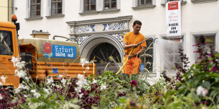 Garten- und Friedhofsamt im Einsatz für Beete und Bäume