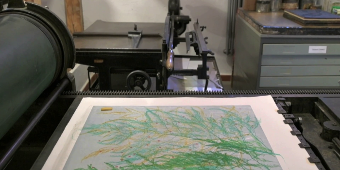 Naturdruck im Benary-Speicher zum Tag der Druckkunst