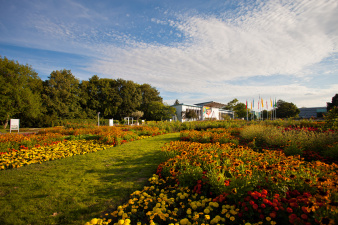 Blick über das große Beet mit verschiedenen Herbstblumen