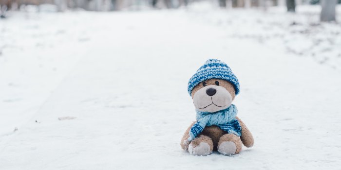 Foto: Stofftier im Schnee © Pexels / Marina Shatskih ein Stofftier mit Mütze und Schal sitzt im Schnee