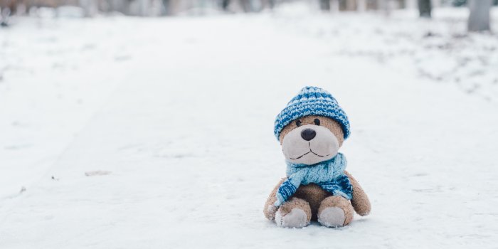 ein Stofftier mit Mütze und Schal sitzt im Schnee