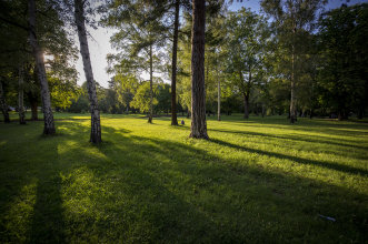 Südpark - Abendstimmung Park bei tiefstehender Sonne neben Sportgymnasium