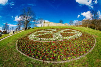 Petersberghang mit Blumenpflanzung im Frühjahr in Form des Erfurter Wappens