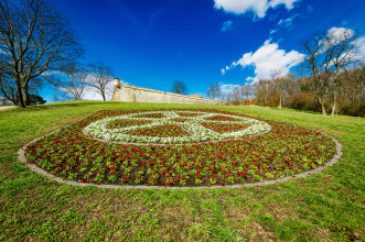 Zitadelle Petersberg mit Stadtwappen Blumenbepflanzung in Form des Stadtwappens am Petersberghang