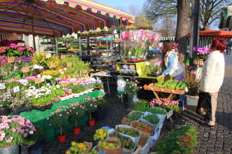 Blumenstand auf dem Markt, an dem gerade eine Kundin bedient wird.
