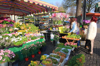 Wochenmarkt auf dem Domplatz Blumenstand auf dem Markt, an dem gerade eine Kundin bedient wird.