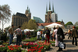 Besucher des Blumen- und Gartenmarktes vor dem bunt blühenden Angebot eines Händlers, im Hintergrund die zwei Kirchen Dom und Severi.