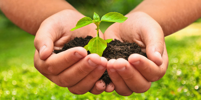 Foto: Naturschutz © Maksim Pasko/Fotolia Zwei Hände umfassen eine kleine Menge Erde, in der ein Setzling steckt.