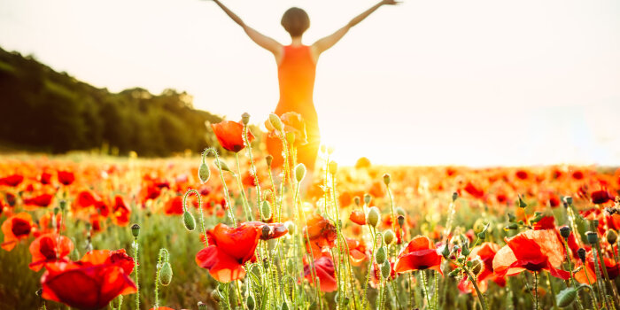 Rote Mohnblumen und im Hintergrund ist eine Frau im Sonnenlicht.