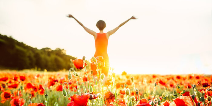 Rote Mohnblumen und im Hintergrund ist eine Frau im Sonnenlicht.