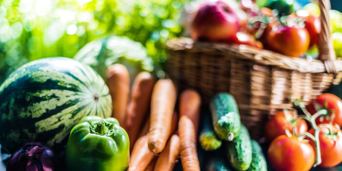 Foto: Korb mit Obst und Gemüse © Stadtverwaltung Erfurt/monticello/123rf Korb mit Obst und Gemüse