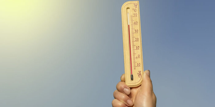Eine menschliche Hand hält ein hölzernes Thermometer in die Luft. Darauf werden 40 Grad Celsius angezeigt.