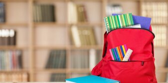 <Interner Verweis: Regelschulen