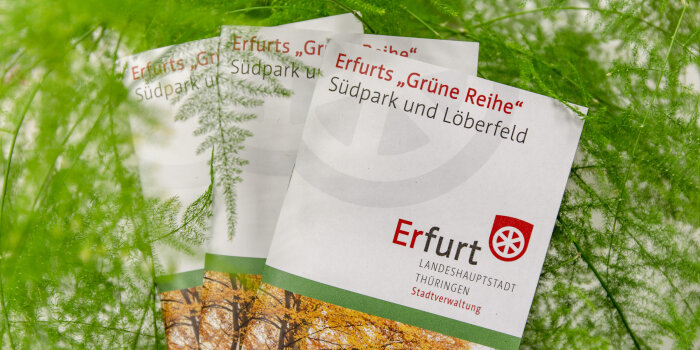 drei Hefte mit dem Titel "Erfurts Grüne Reihe. Südpark und Löberfeld" in einem Pflanzen-Arrangement