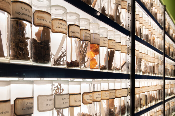 Exponatenwand in der Ausstellung Gläser und Flaschen darin befinden sich Wurzeln und Kräuter