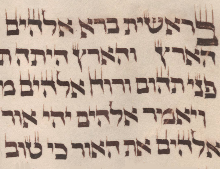 Torarolle Erfurt 6 MS or fol 1215-1 Auf einem Stück Pergament sind insgesamt fünf Reihen hebräischer Schriftzeichen zu sehen. Sie sind kunstvoll in dunkler Tinte ausgeführt. Einige tragen "Krönchen" in Form von zwei oder drei nebeneinander stehende vertikalen Strichen, die aus zahlreichen Buchstaben in die Höhe ragen.