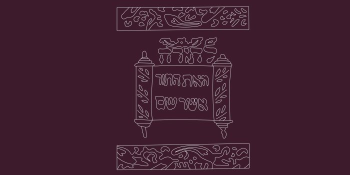Grafik: Buchcover "Ritual Objects in Ritual Contexts" © Stadtverwaltung Erfurt lilafarbenes Buchcover mit Titel und schematischer Darstellung einer Tora-Rolle