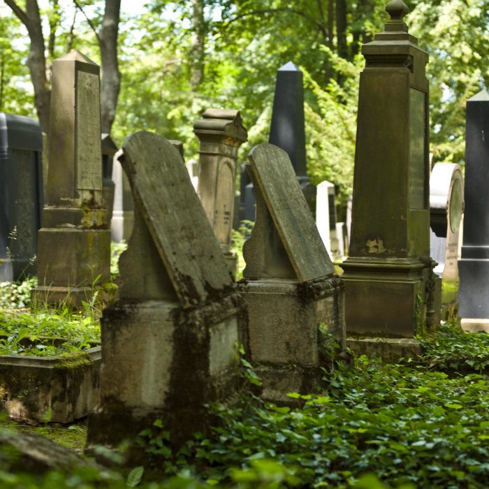 Grabsteine auf dem Neuen Jüdischen Friedhof Zu sehen ist eine Reihe von Gräbern inmitten einer Grünanlage. Teilweise sind es einfache Grabsteine, teilweise Monumente, wie sie für das 19. jahrhundert typisch sind, beispielsweise die Form eines Obelisken nachempfindend.