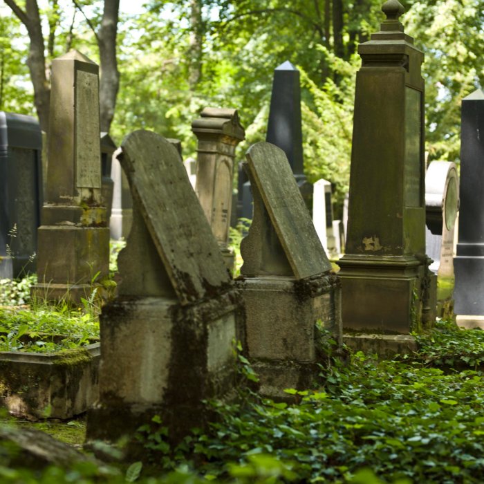 Zu sehen ist eine Reihe von Gräbern inmitten einer Grünanlage. Teilweise sind es einfache Grabsteine, teilweise Monumente, wie sie für das 19. jahrhundert typisch sind, beispielsweise die Form eines Obelisken nachempfindend.