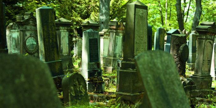 Foto: Neuer Jüdischer Friedhof Erfurt, Ansicht Gräberfeld © Papenfuss – Atelier für Gestaltung Verschiedene, teils bereits etwas verwitterte Grabsteine