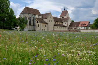 Eine Kirche, davor eine blühende Wiese 