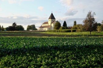 Eine alte Kirche, davor eine Feldlandschaft