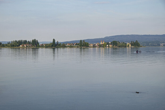 Klosterinsel Reichenau Eine Insel mit Bäumen und Gebäuden inmitten einer Wasserfläche