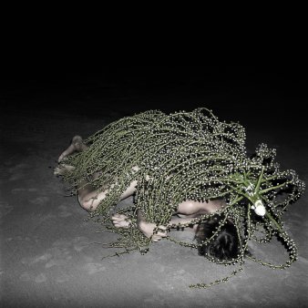 Foto: Nina Röder: Cosy under here, 2015, Spanien © Nina Röder Ein von einer Pflanze bedeckter, liegender Mensch