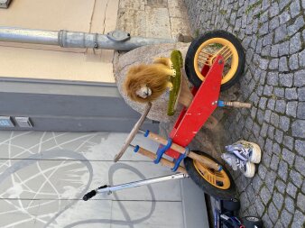 Kinderfahrrad mit einem Plüschlöwen sowie Schuhen und einem Roller vor einem Haus